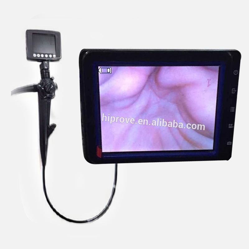Portable Veterinary Video Endoscope