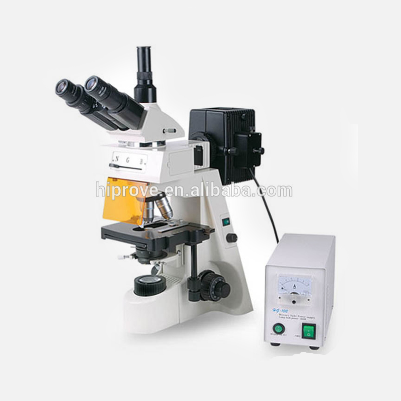 Trinocular LED Fluorescence Microscope