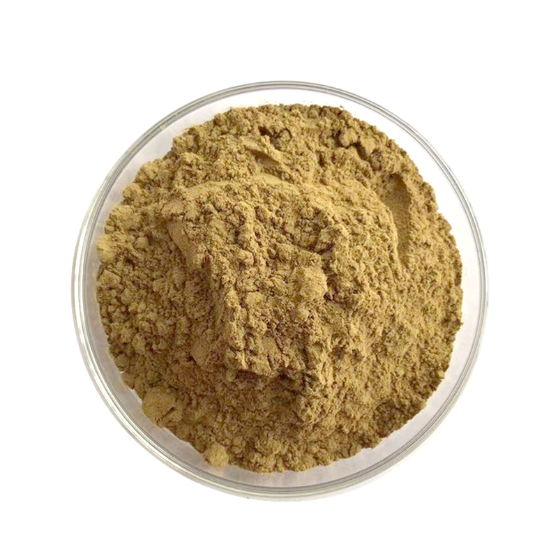Ivy leaf Extract